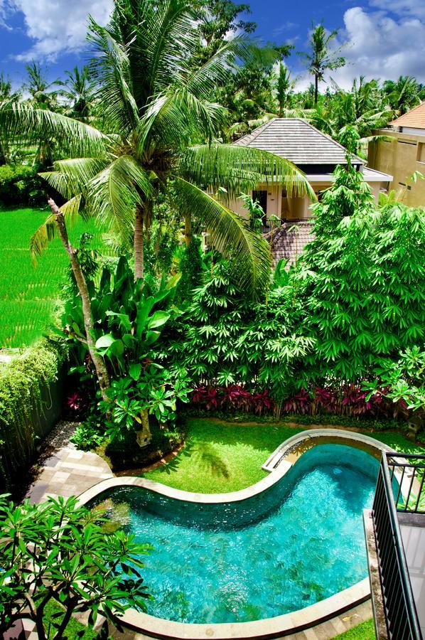 Puri Kobot Hotel Ubud Buitenkant foto
